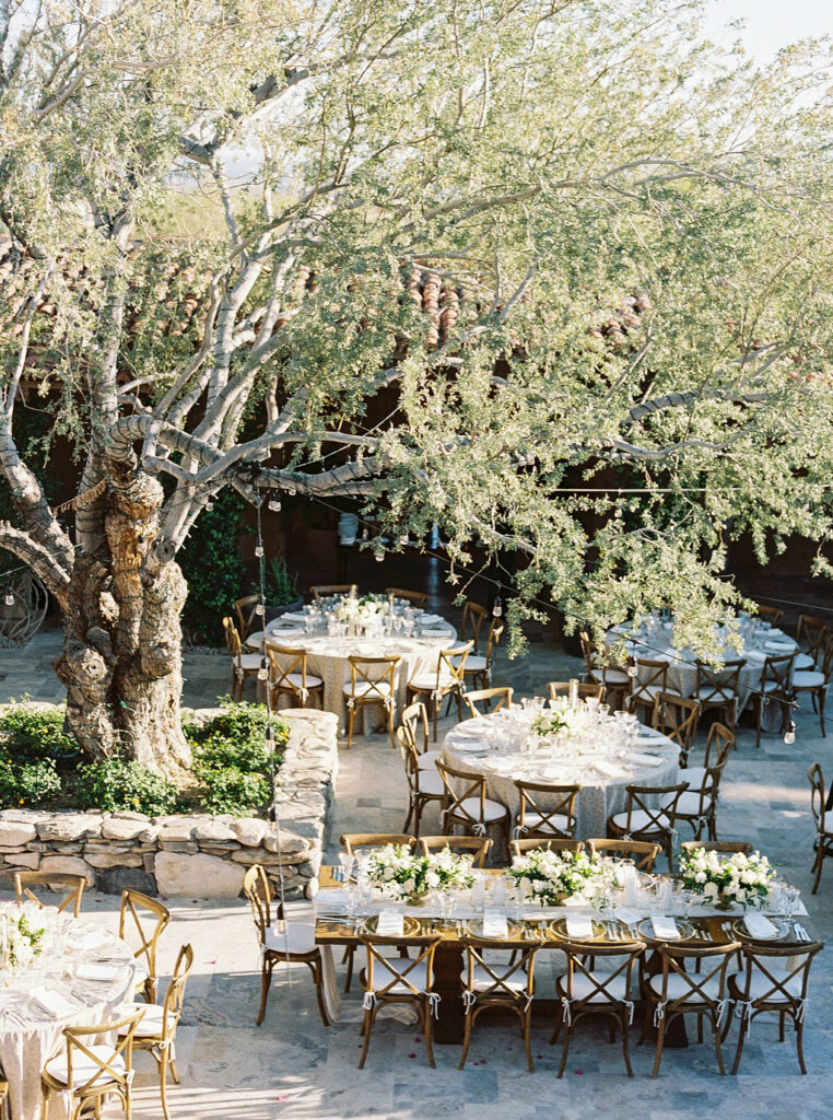 Outdoor reception courtyard with tables under trees at DC Ranch