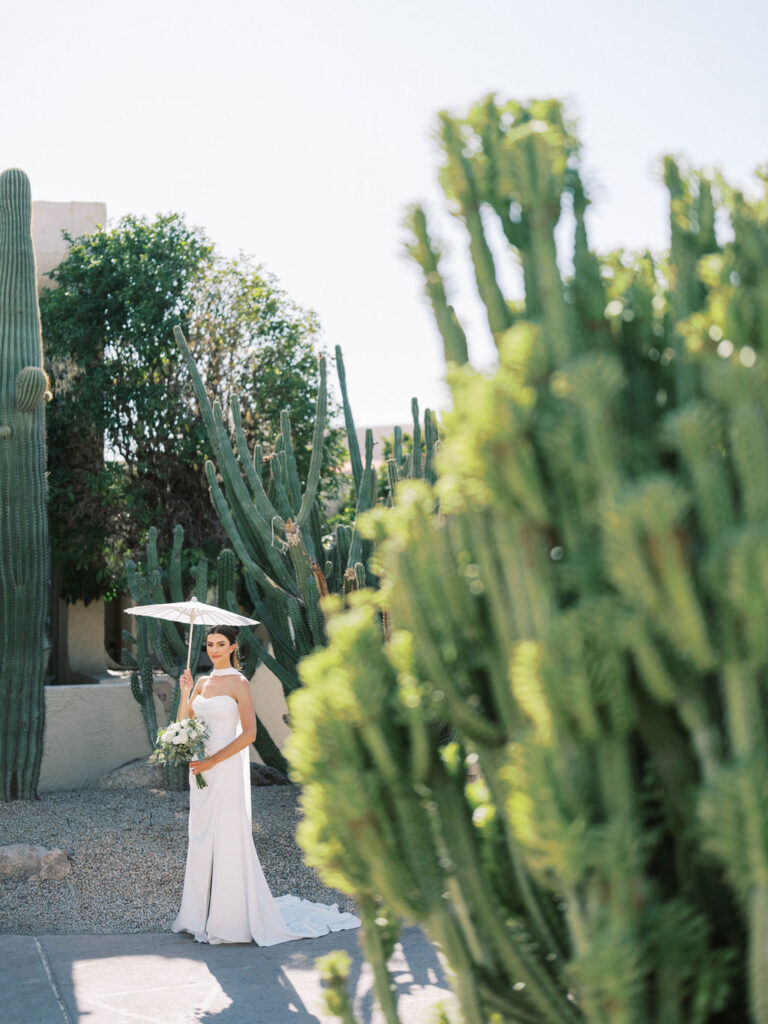 Bride holding parasol at Camelback Inn desert cactus garden