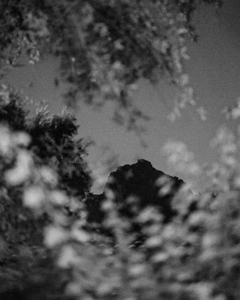 Artistic black and white detail photograph at El Chorro
