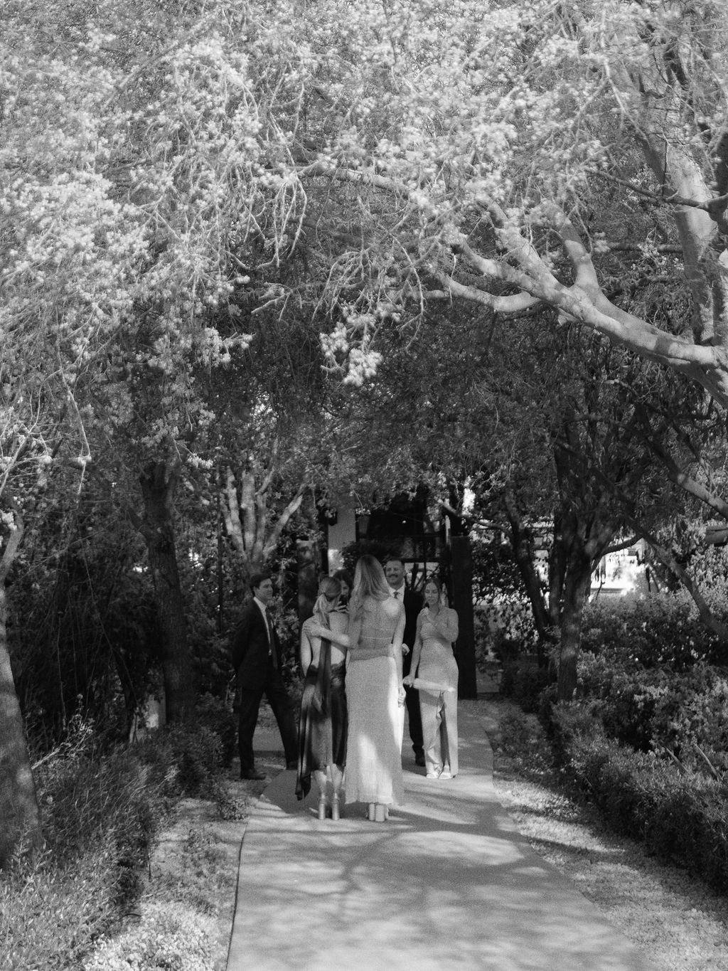 Bride and groom walking through tree-lined path at El Chorro Paradise Valley wedding