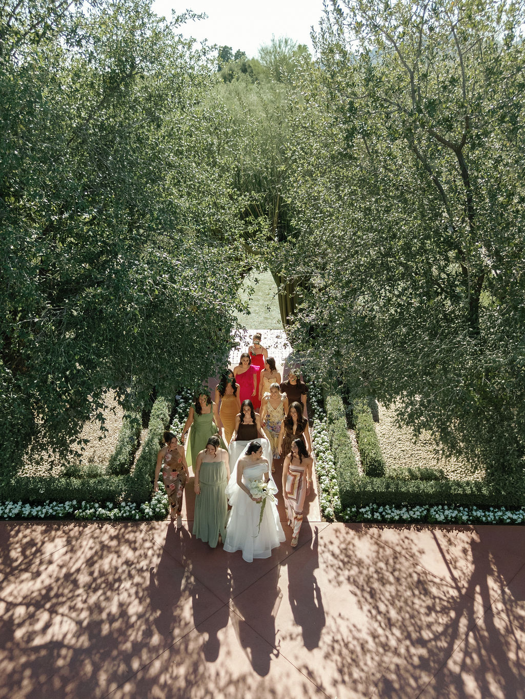Bridal party walking through the olive hedges at El Chorro