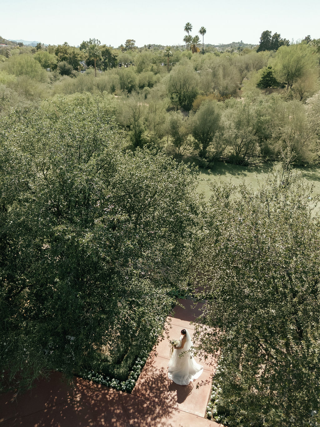 Aerial view of the bride walking through the gardens at El Chorro in Paradise Valley