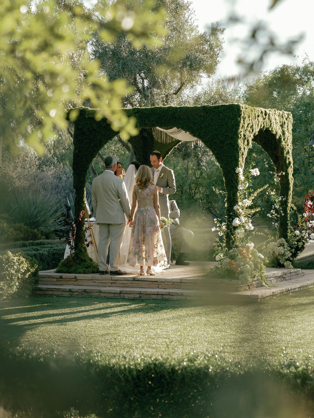 Groom with family at the chuppah, seen through the olive trees