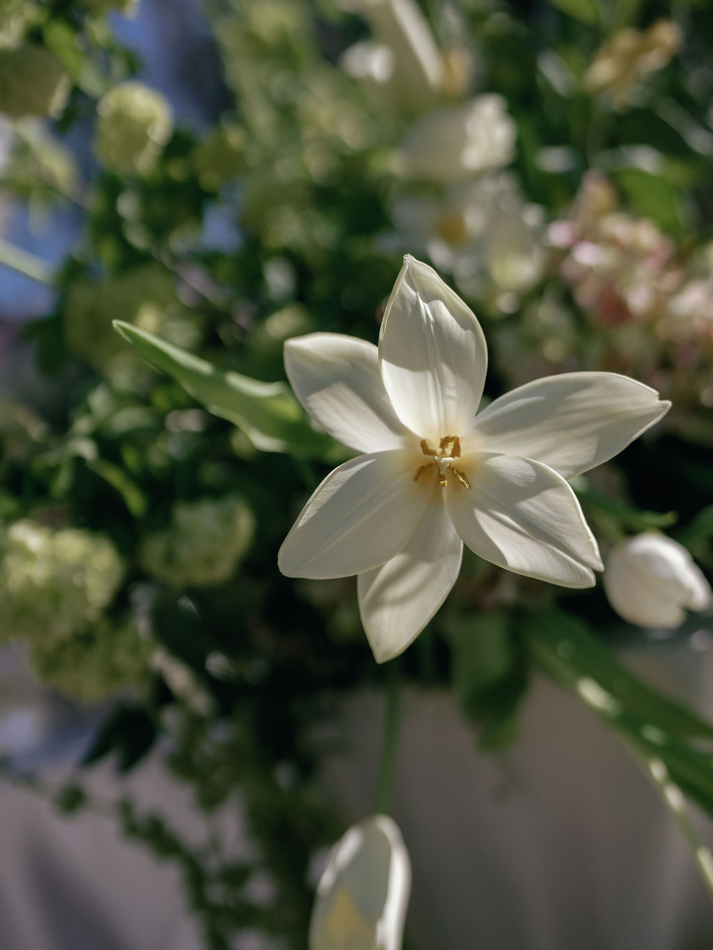 Macro detail of a white flower from the ceremony florals